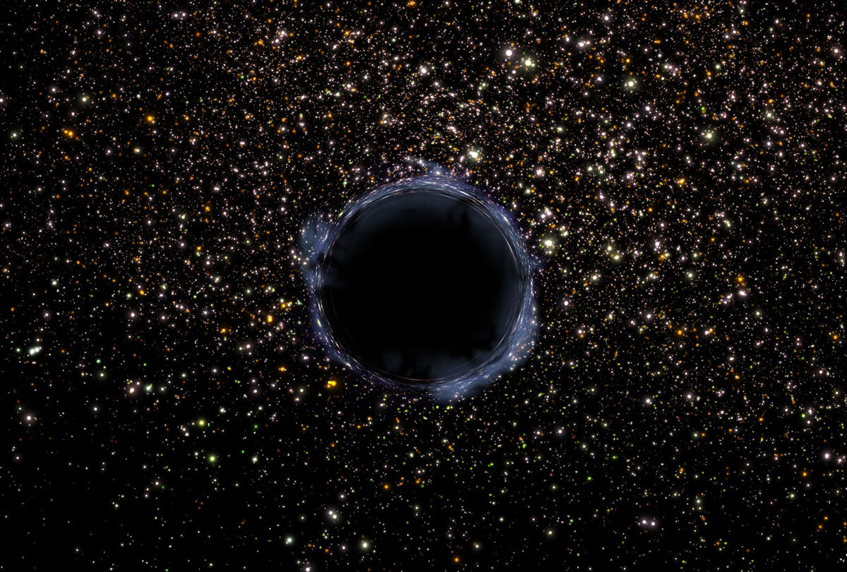 Black Holes and Other Investments