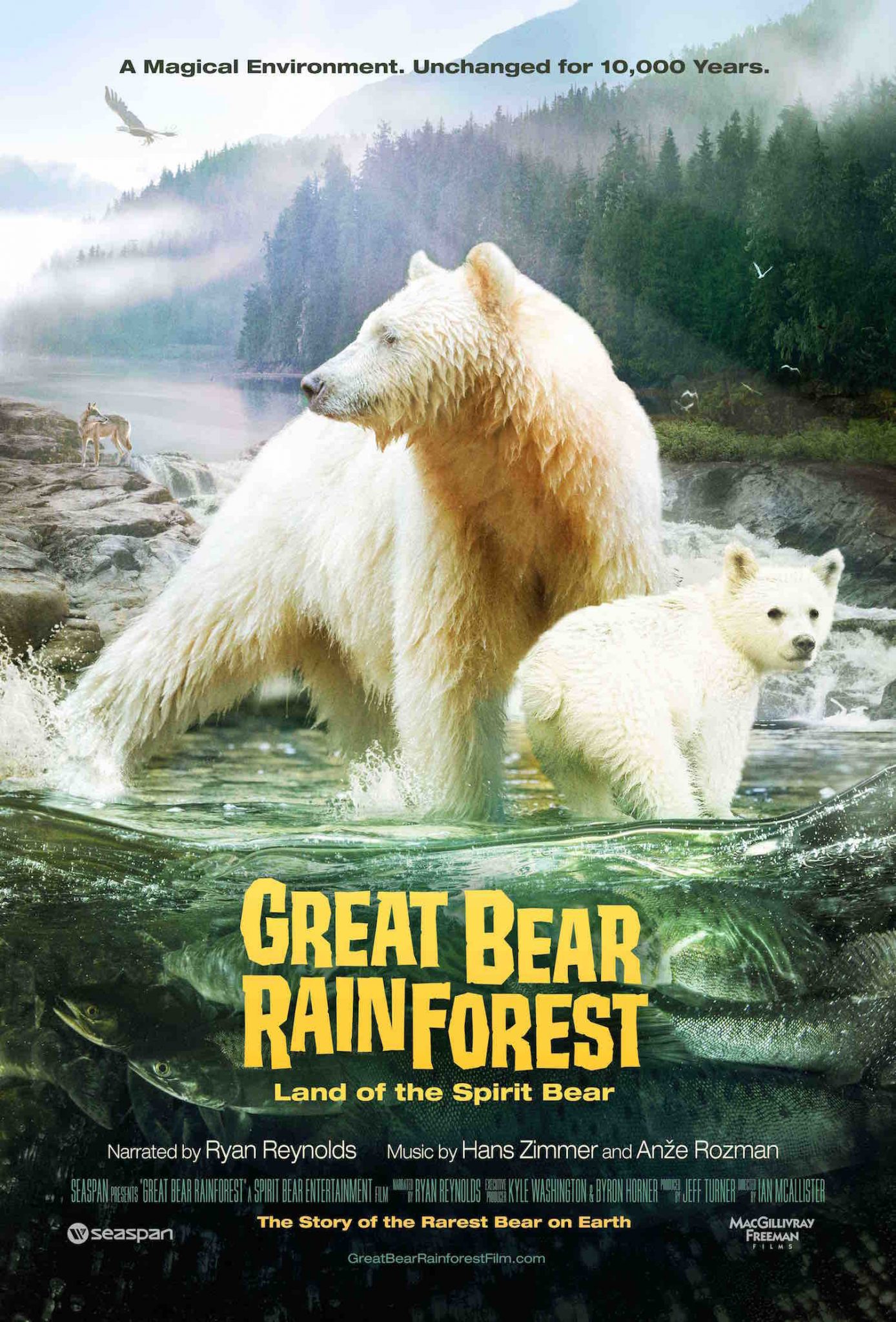 Destination BC-sponsored Great Bear Rainforest IMAX® film wins Cinematography Award