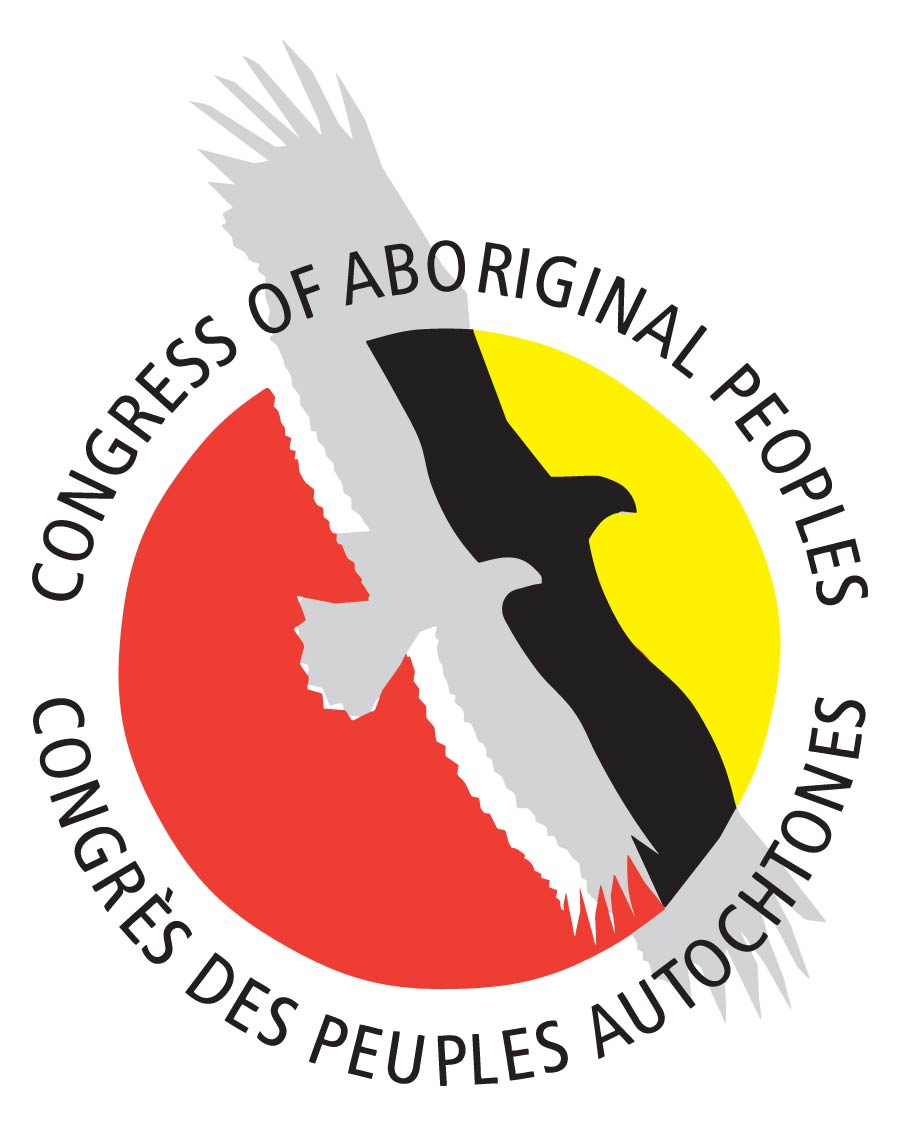 National Indigenous Group Files Court Application Over Inadequate and Discriminatory Funding During COVID-19
